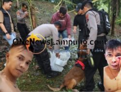 Pengejaran Tersangka Pembunuhan Nia Kurnia Sari Berlanjut: Polisi Temukan Bukti Baru, Keluarga Desak Penyerahan Diri